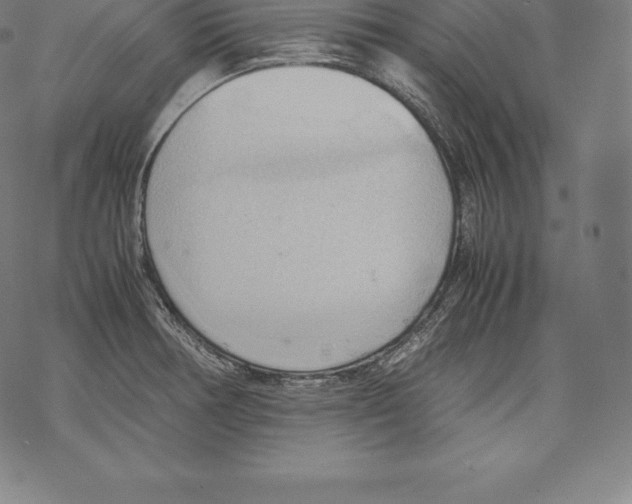 X0000067831378200605111606