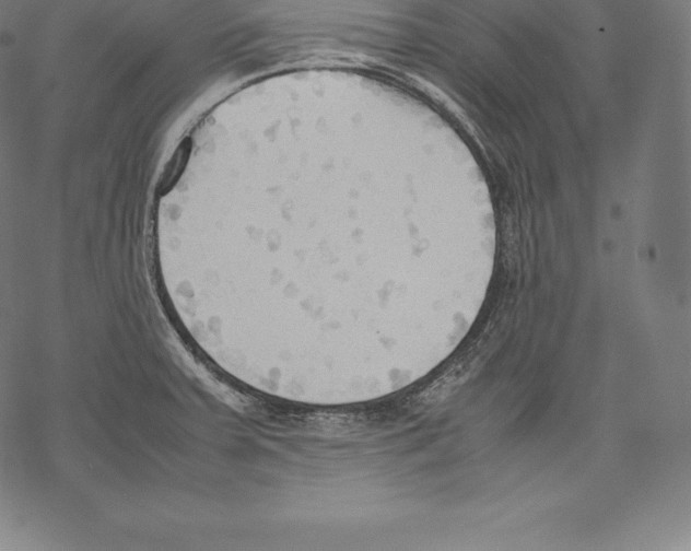 X0000067831379200605111606