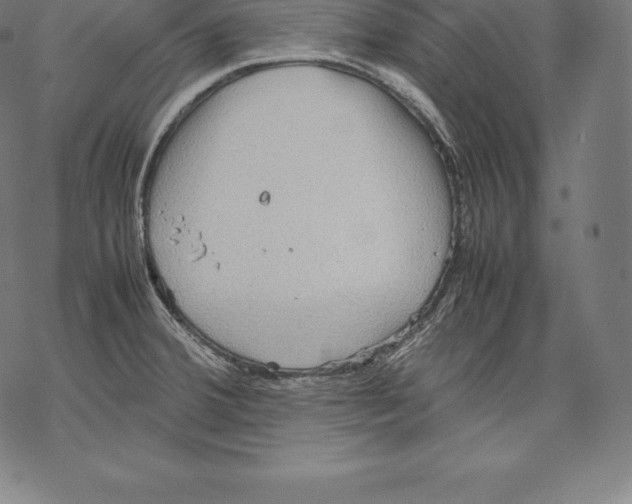 X0000067831380200605111606