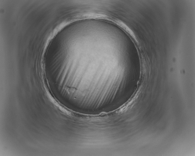 X0000067831381200605111606