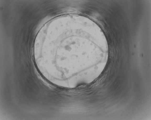 X0000067831383200605111606