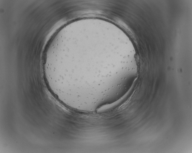 X0000067831384200605111606