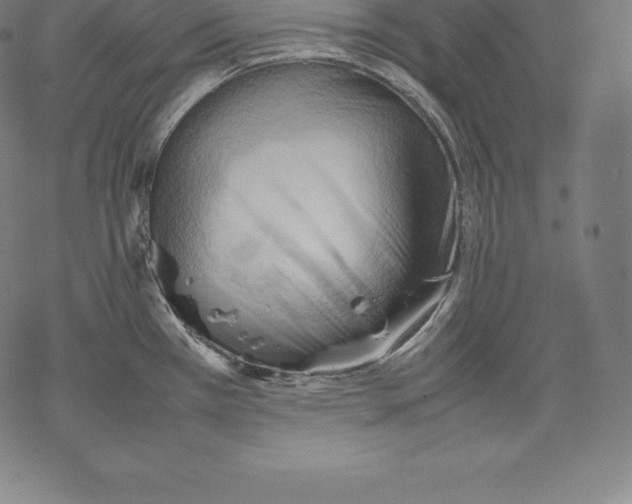 X0000067831385200605111606