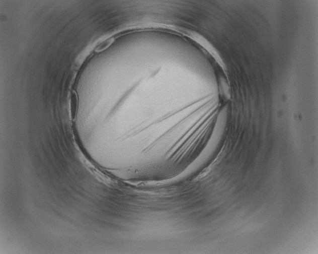 X0000067831388200605111606