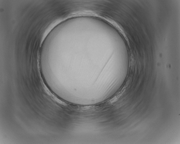 X0000067831390200605111606