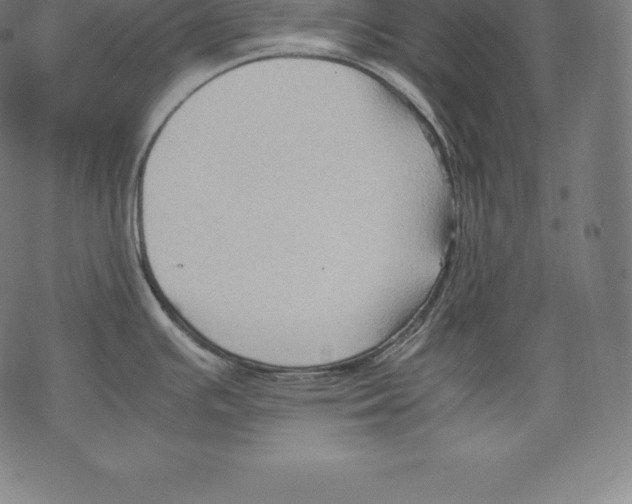 X0000067831391200605111606