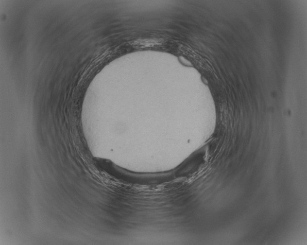 X0000067831393200605111605