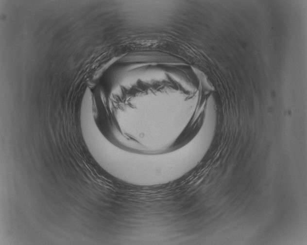 X0000067831394200605111605