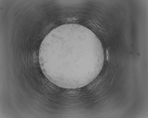 X0000067831395200605111605