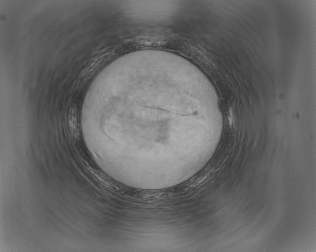 X0000067831396200605111605