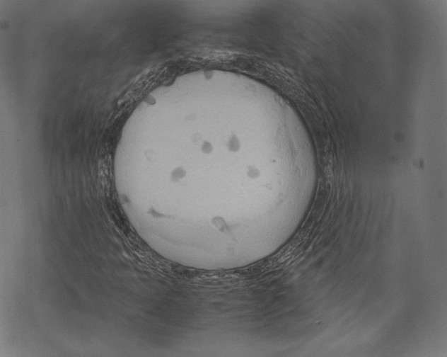 X0000067831397200605111605