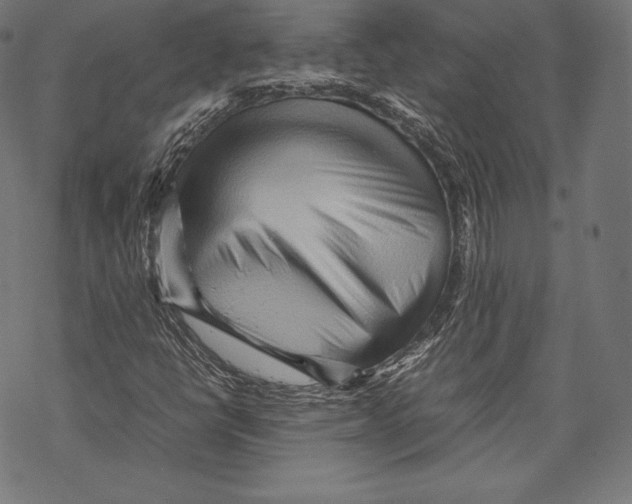 X0000067831398200605111605