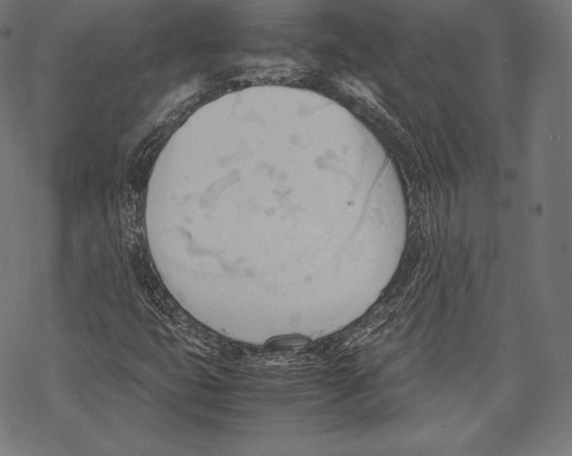 X0000067831399200605111605