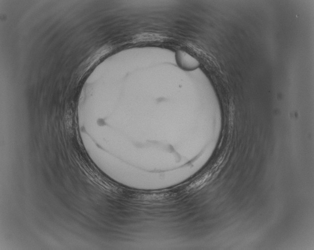 X0000067831401200605111605