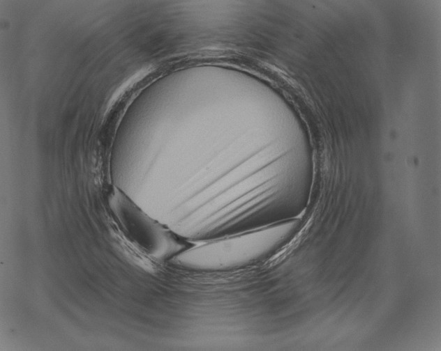 X0000067831402200605111605