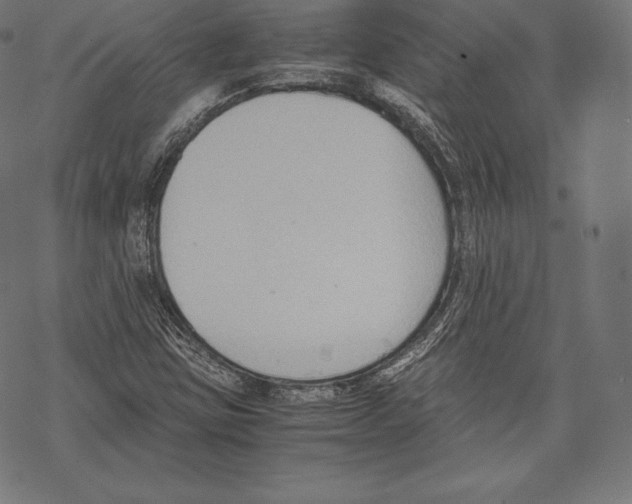 X0000067831403200605111605