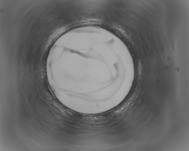 X0000067831405200605111605