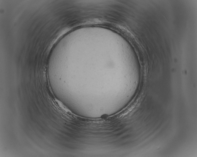 X0000067831409200605111605