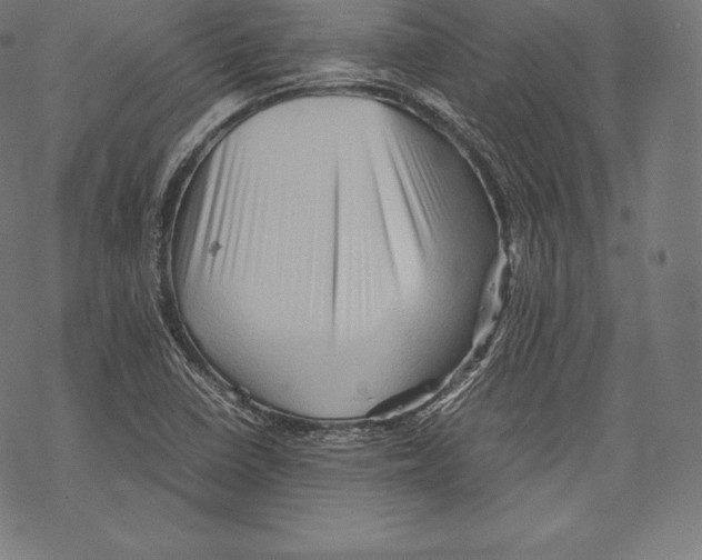 X0000067831410200605111605