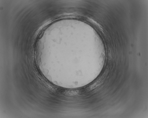 X0000067831411200605111605