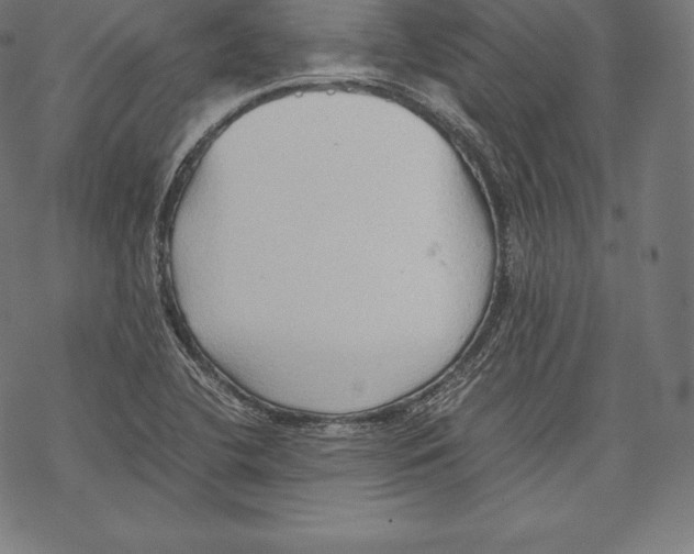 X0000067831412200605111605