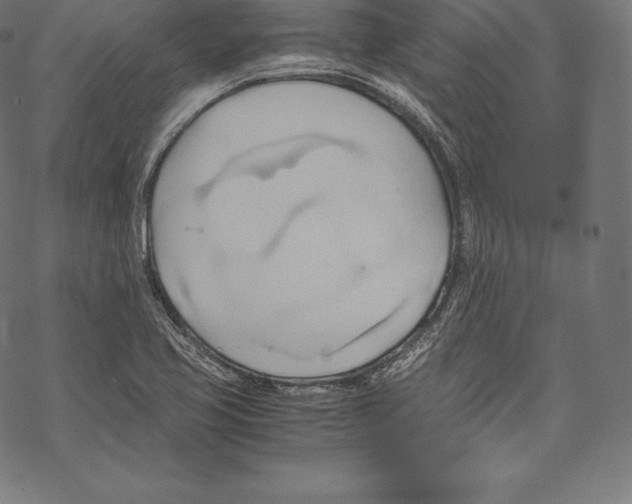 X0000067831413200605111605