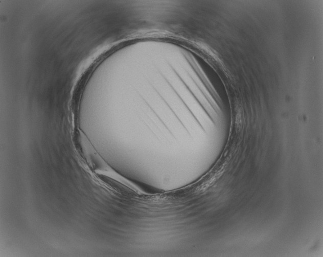 X0000067831414200605111605