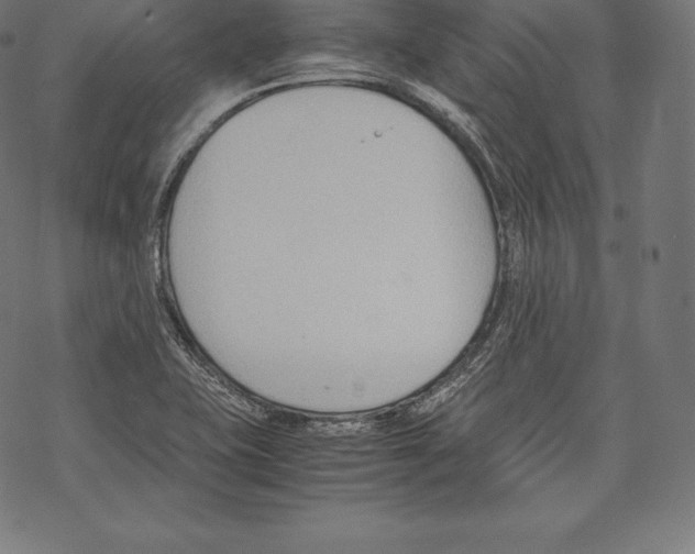 X0000067831415200605111605