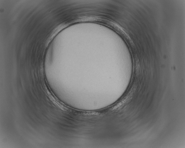 X0000067831417200605111605