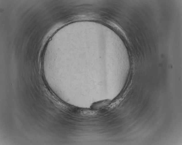 X0000067831419200605111605