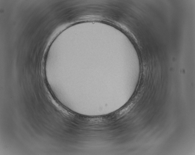 X0000067831421200605111605