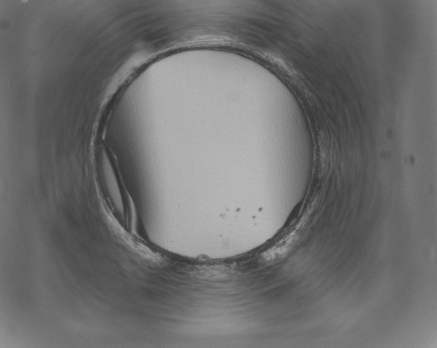 X0000067831422200605111605