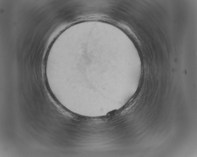 X0000067831424200605111605