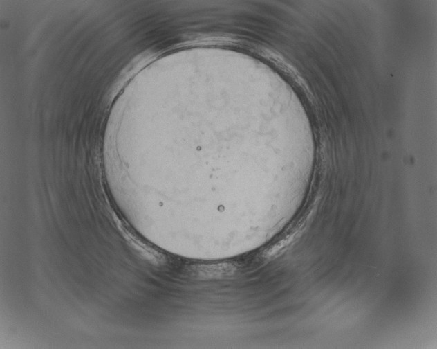 X0000067831425200605111605