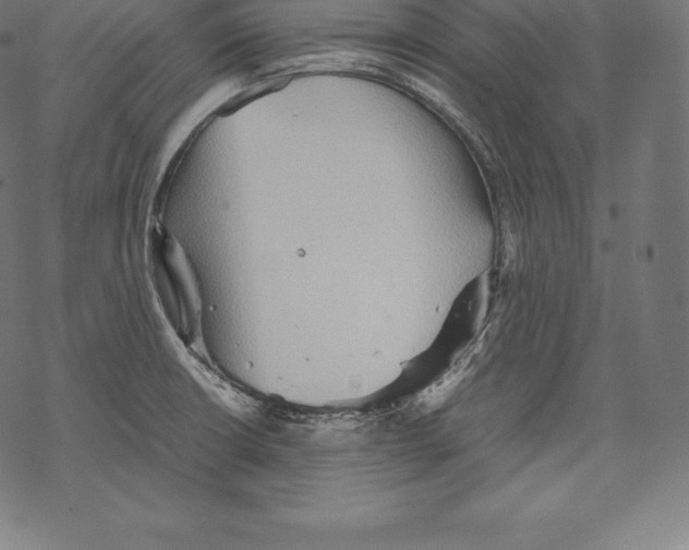 X0000067831426200605111605