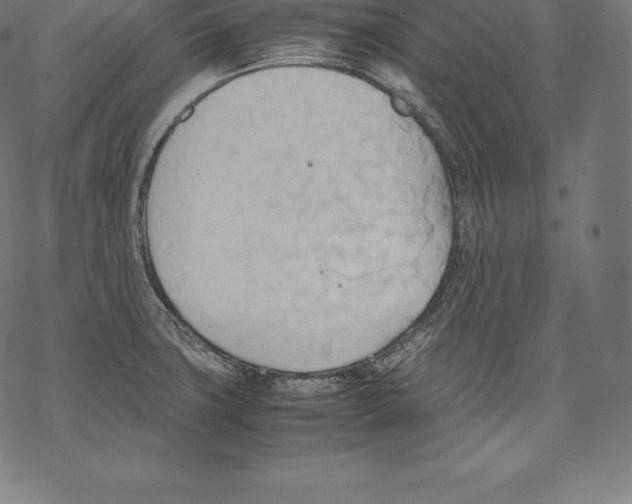 X0000067831427200605111605