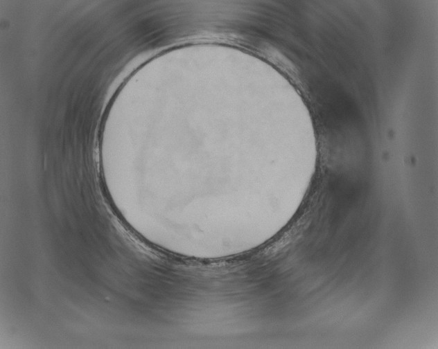 X0000067831428200605111605