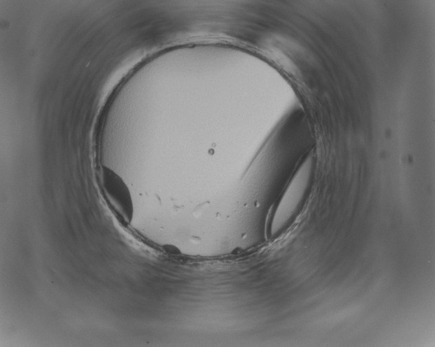 X0000067831430200605111606