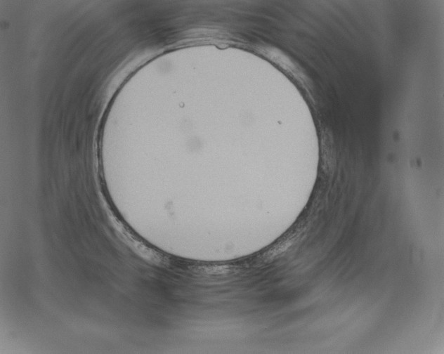 X0000067831431200605111606