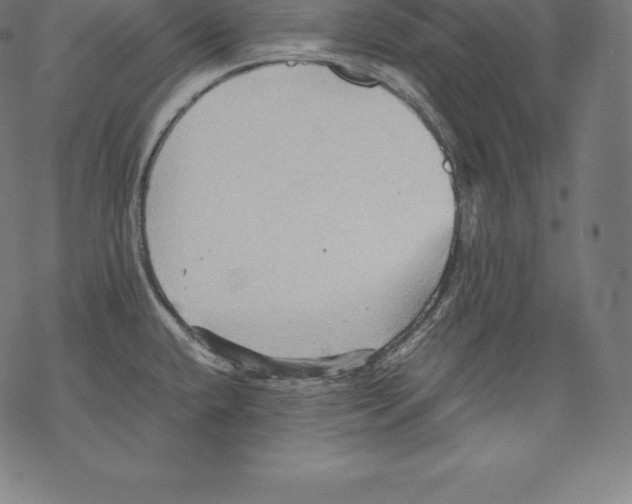 X0000067831432200605111606