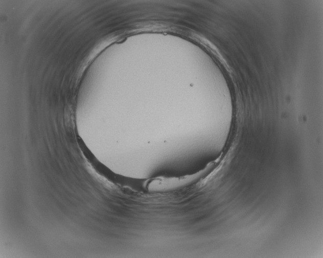 X0000067831433200605111606