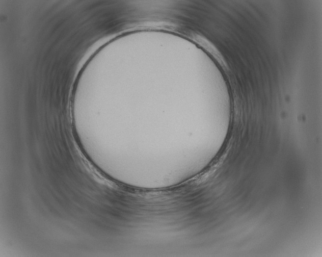 X0000067831436200605111606