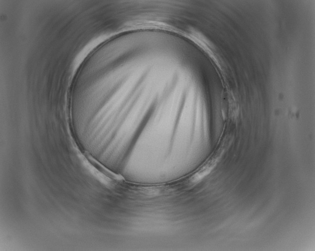 X0000067831438200605111606