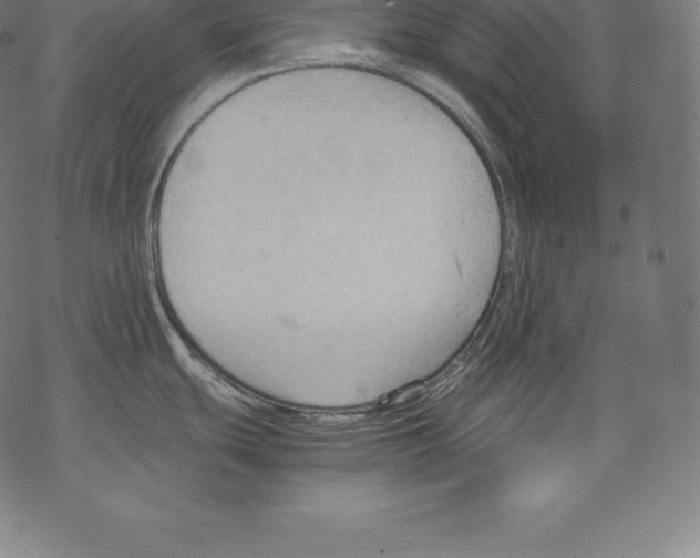 X0000067831439200605111606