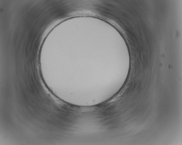 X0000067831440200605111606