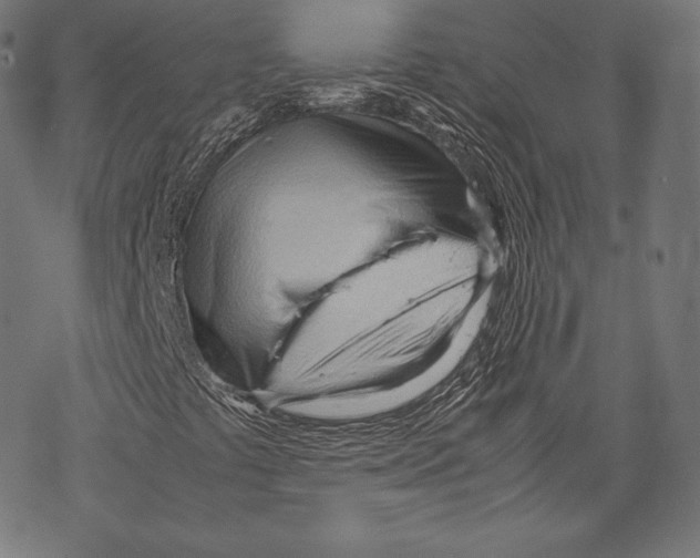 X0000067831441200605111605