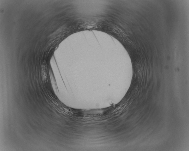 X0000067831442200605111605