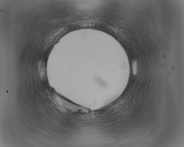 X0000067831444200605111605