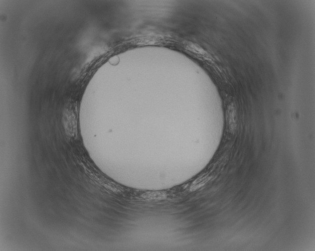 X0000067831446200605111605