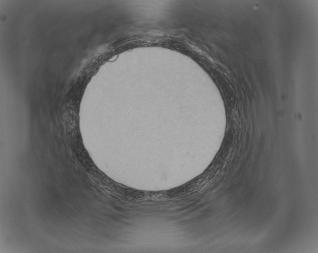 X0000067831447200605111605